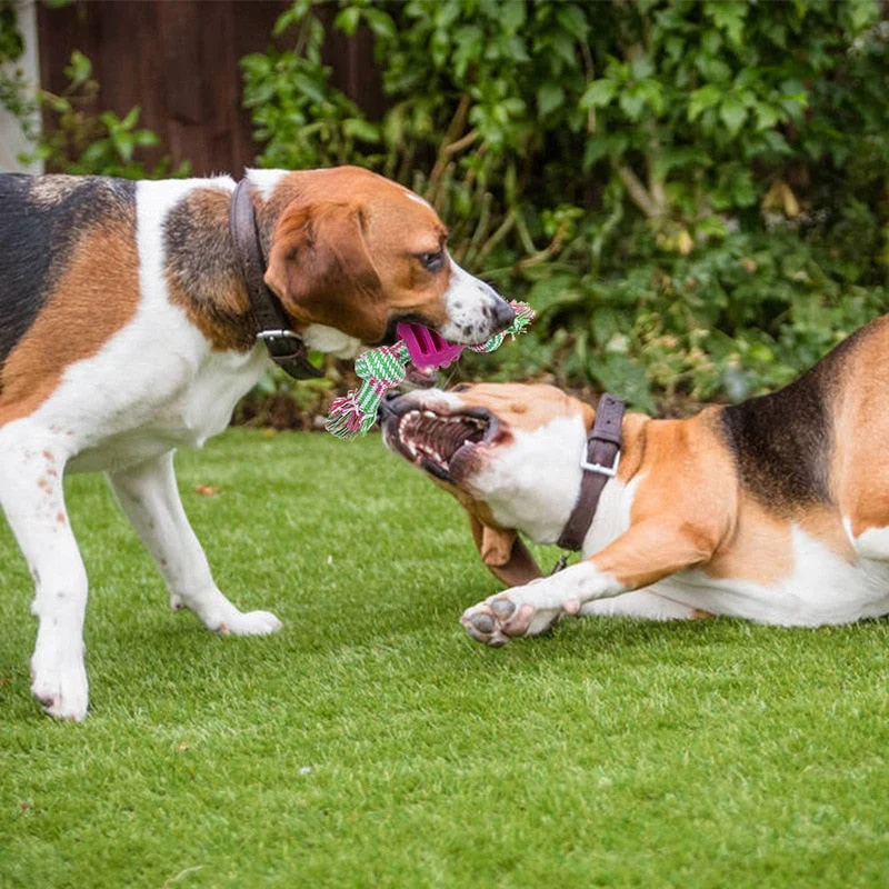 Balle Corde Lanceur Gros Chien 18cm
