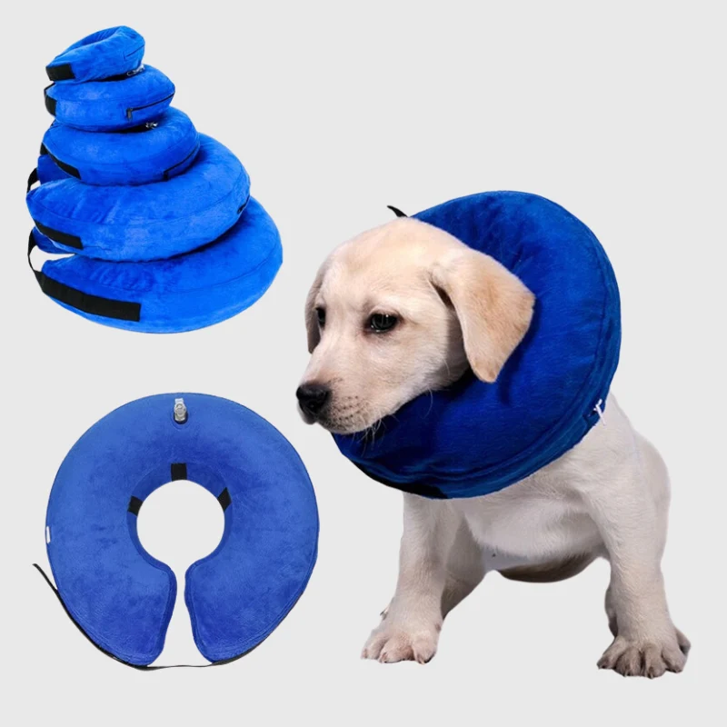 Collerette Gonflable Post-Op Gros Chien