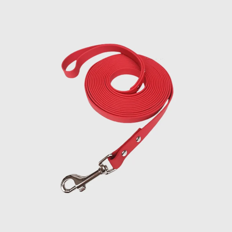 Longe Renforcée 15 mm Gros Chien Multi-Longueurs