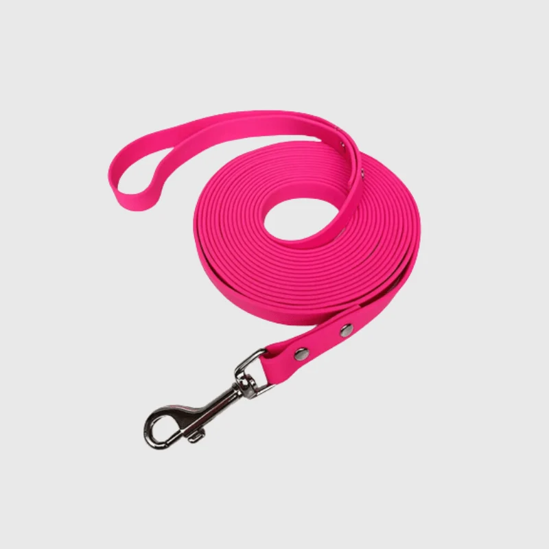 Longe Renforcée 15 mm Gros Chien Multi-Longueurs