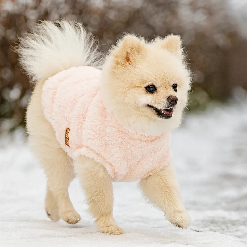 Pull Tricot Torsadé Chaud Chien Hiver