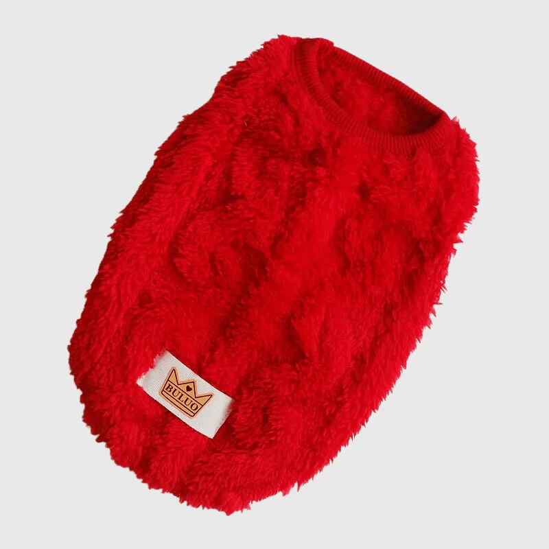 Pull Tricot Torsadé Chaud Chien Hiver