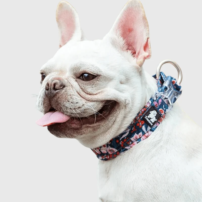 Collier Nylon Réfléchissant Fleuris Gros Chien