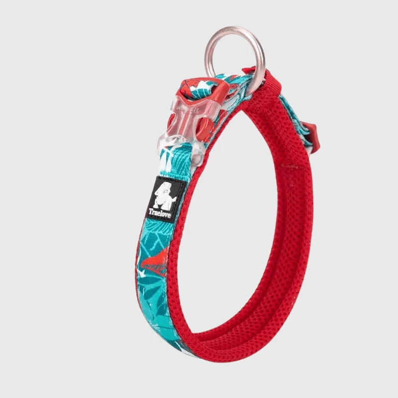 Collier Nylon Réfléchissant Fleuris Gros Chien