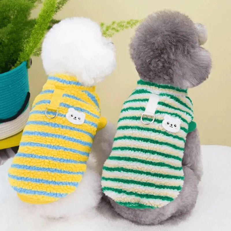 Pull Hiver Grand Chien Jaune Vert Chaud