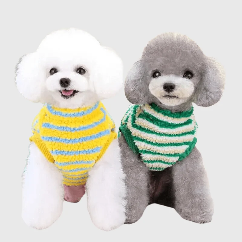 Pull Hiver Grand Chien Jaune Vert Chaud