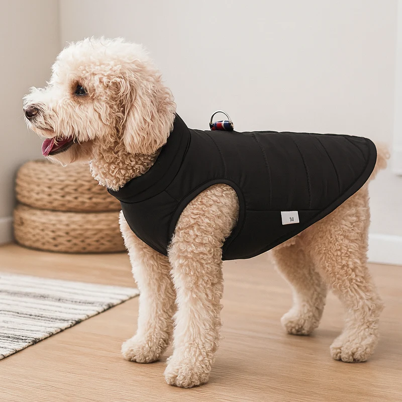 Manteau Imperméable Hiver Gros Chien Noir
