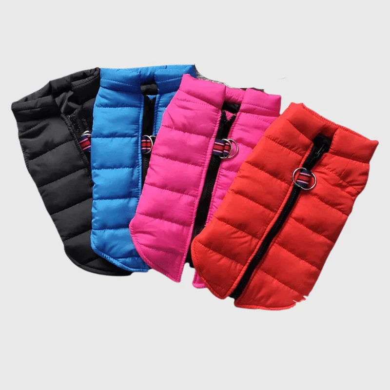 Manteau Imperméable Hiver Gros Chien Noir