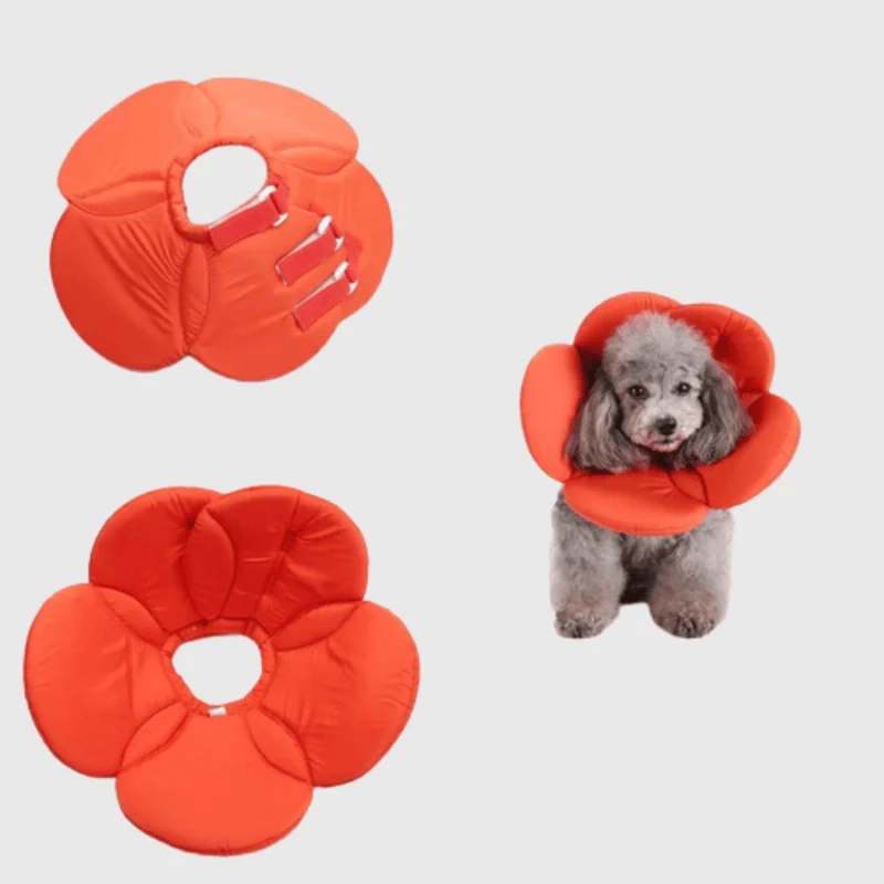 Collerette Fleur Orange Confort Chien