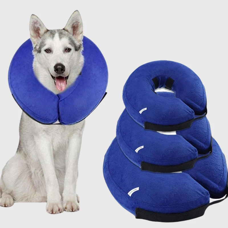 Collerette Gonflable Confort Gros Chien Post-Opératoire
