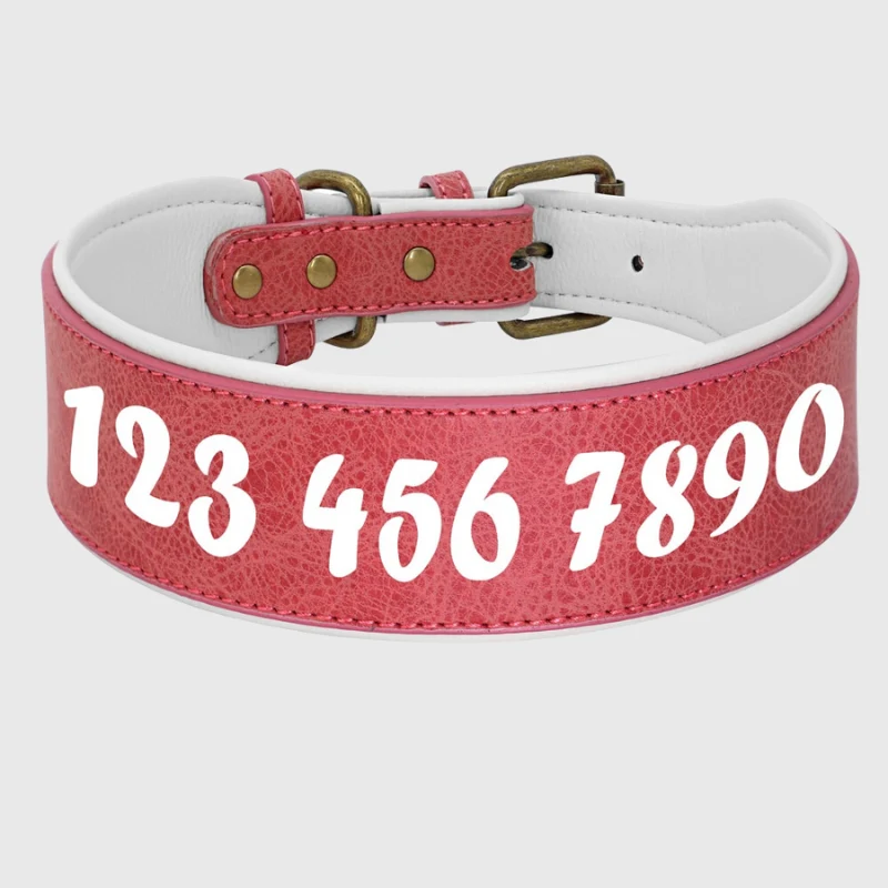 Collier Cuir Pleine Fleur Personnalisable Gros Chien