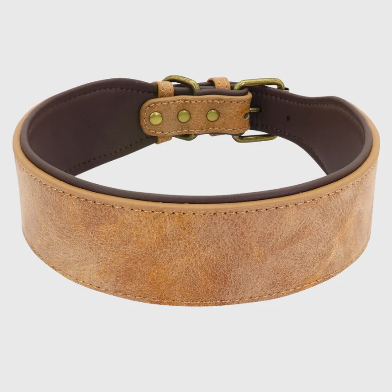Collier Cuir Pleine Fleur Personnalisable Gros Chien