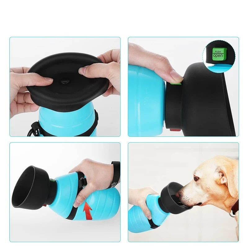 Gourde Distributrice Eau Chien Voyage