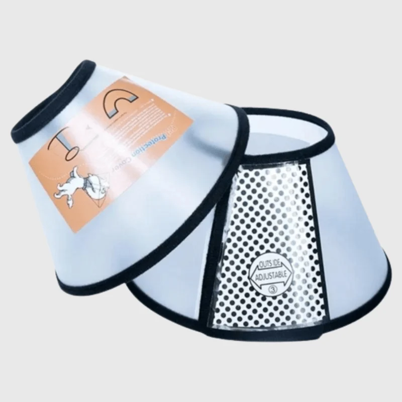 Collerette Lune Plastique Post-Opératoire Gros Chien