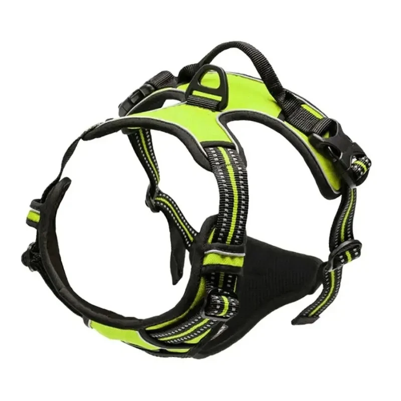 Harnais vert pour chien