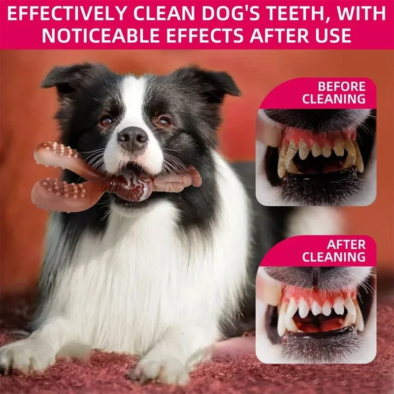 Jouet Nylon Ultra-Résistant Mâcher Gros Chien