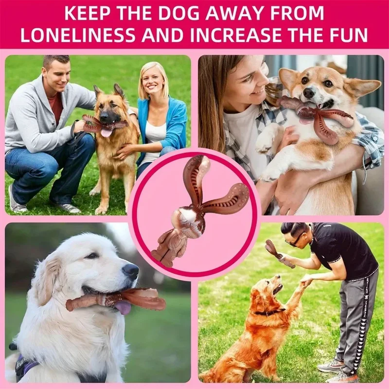 Jouet Nylon Ultra-Résistant Mâcher Gros Chien