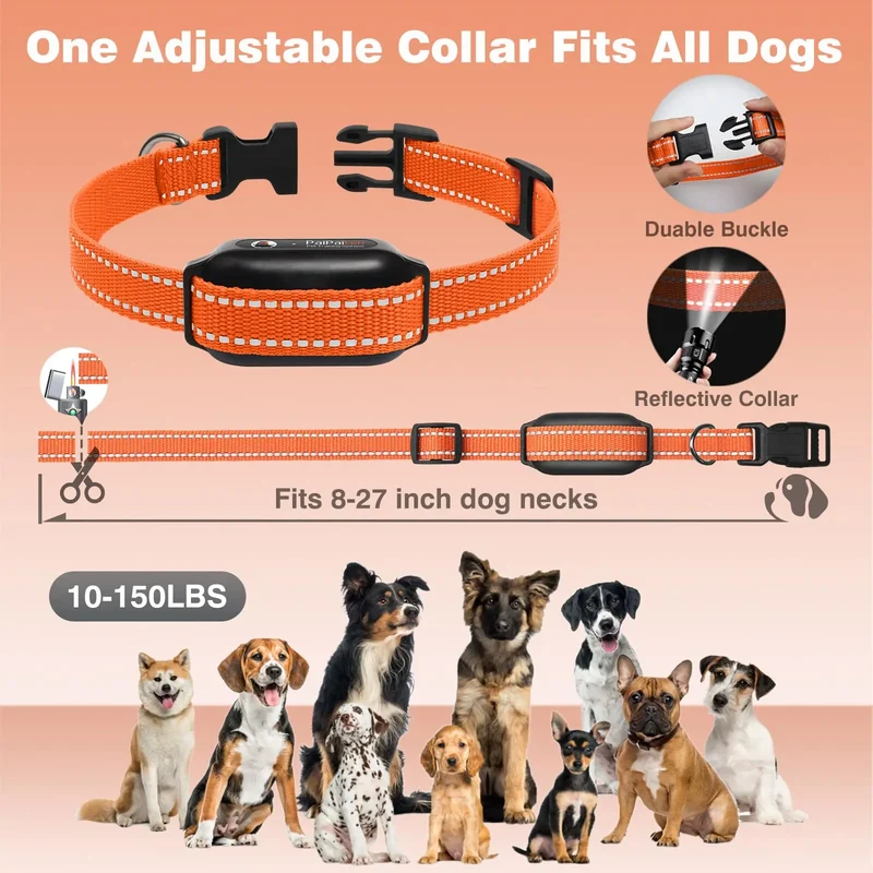 Collier Dressage Ultrason Sans Choc Gros Chien