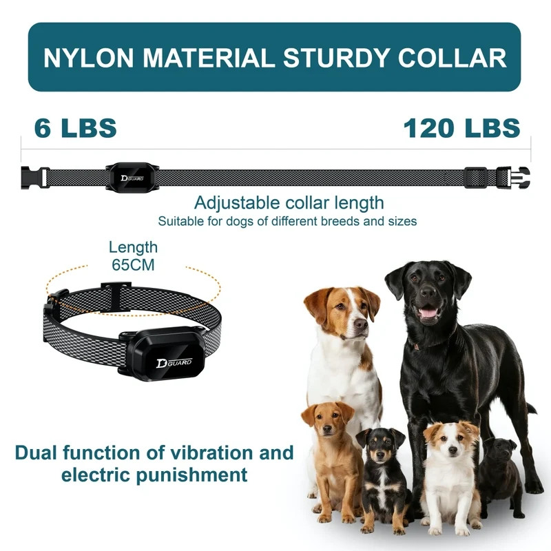Collier Dressage Numérique LCD Gros Chien 800m