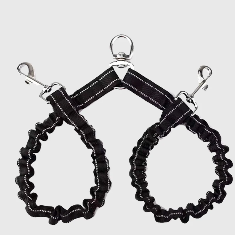Laisse Double Pivotante Gros Chien Nylon