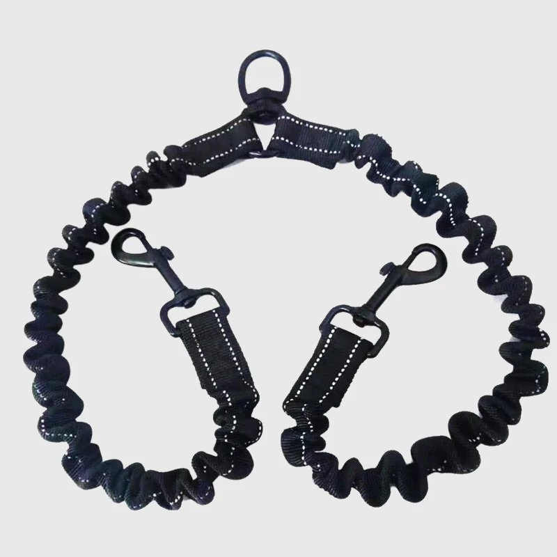 Laisse Double Pivotante Gros Chien Nylon