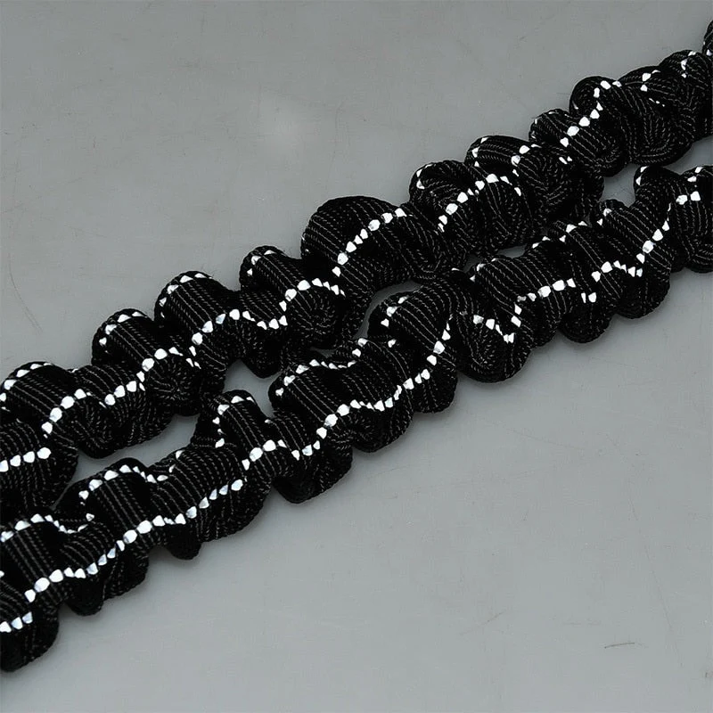 Laisse Double Pivotante Gros Chien Nylon