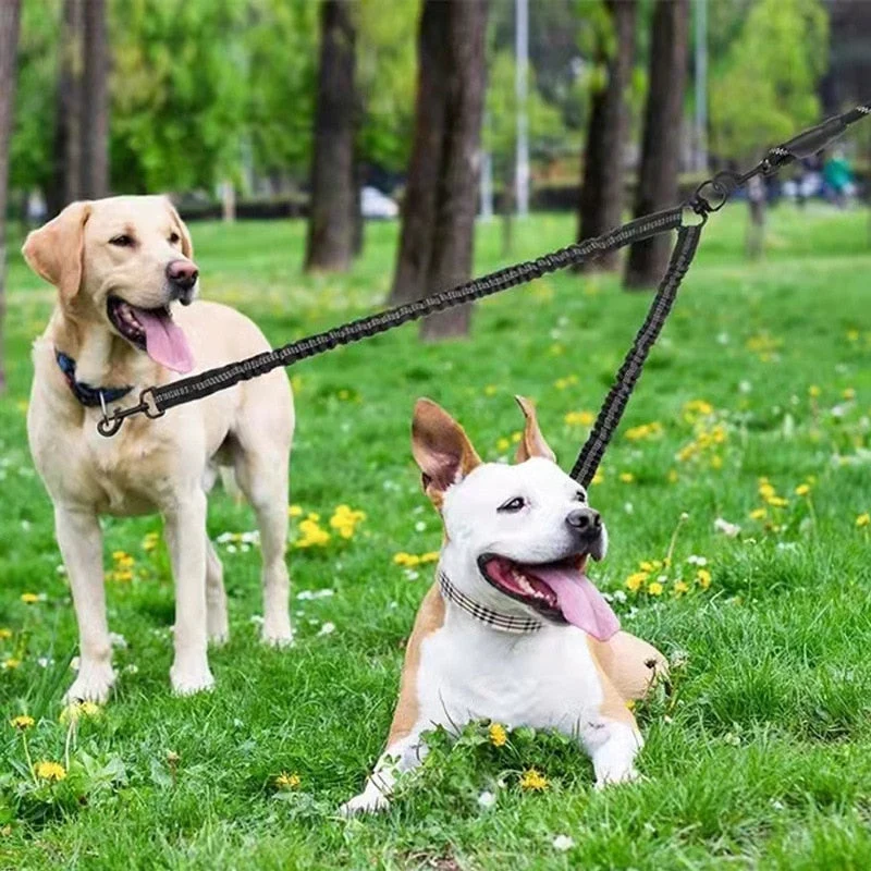 Laisse Double Pivotante Gros Chien Nylon