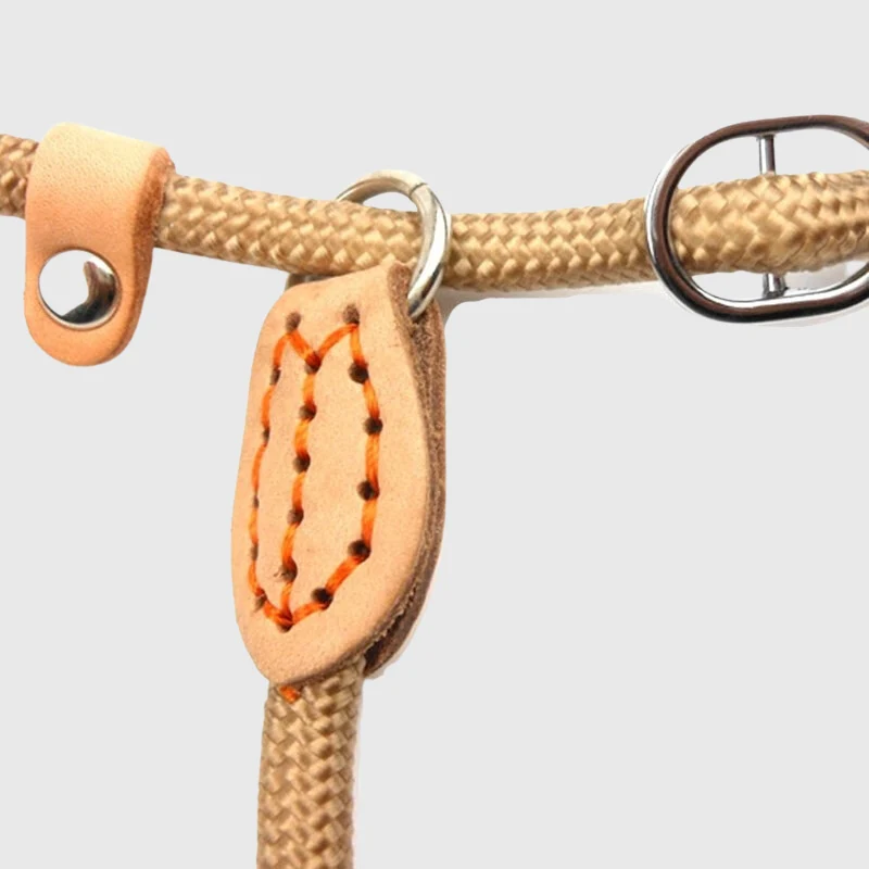 Laisse Lasso Réglable Cuir Gros Chien