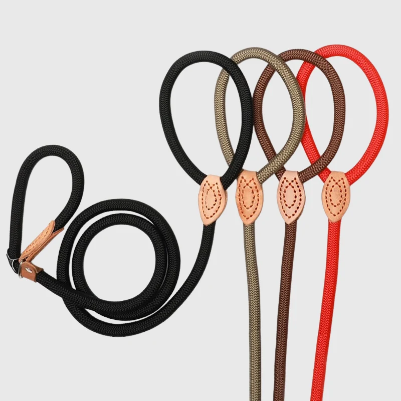 Laisse Lasso Réglable Cuir Gros Chien