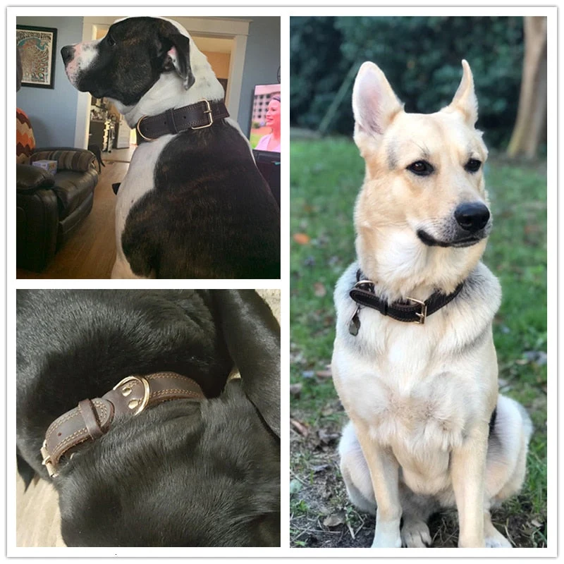 Collier Cuir Véritable Réglable Gros Chien