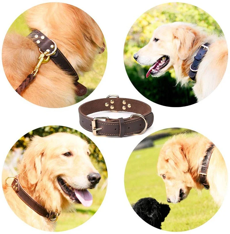 Collier Cuir Véritable Réglable Gros Chien