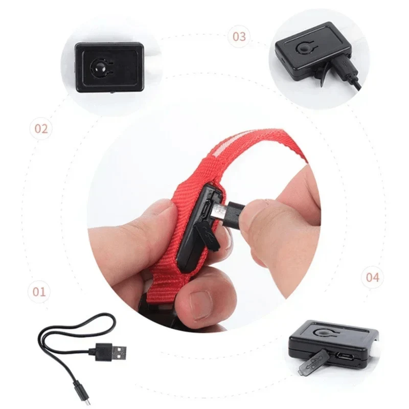 Collier LED Rechargeable USB Gros Chien