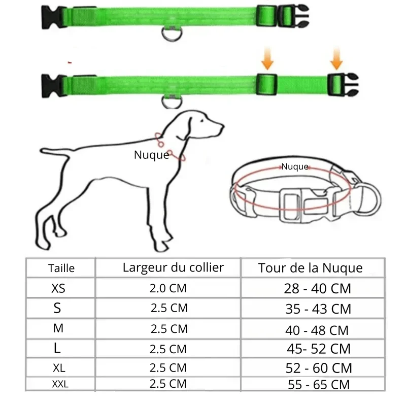 Collier LED Rechargeable USB Gros Chien
