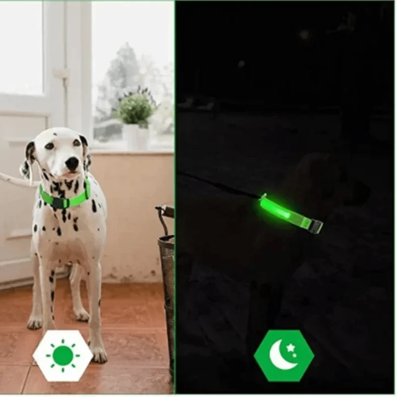 Collier LED Rechargeable USB Gros Chien