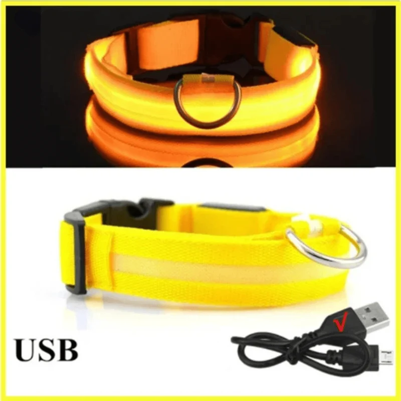 Collier LED Rechargeable USB Gros Chien