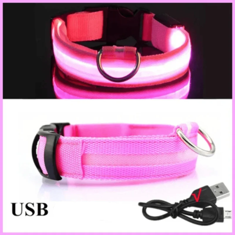 Collier LED Rechargeable USB Gros Chien