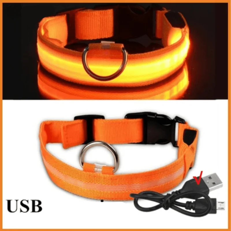 Collier LED Rechargeable USB Gros Chien