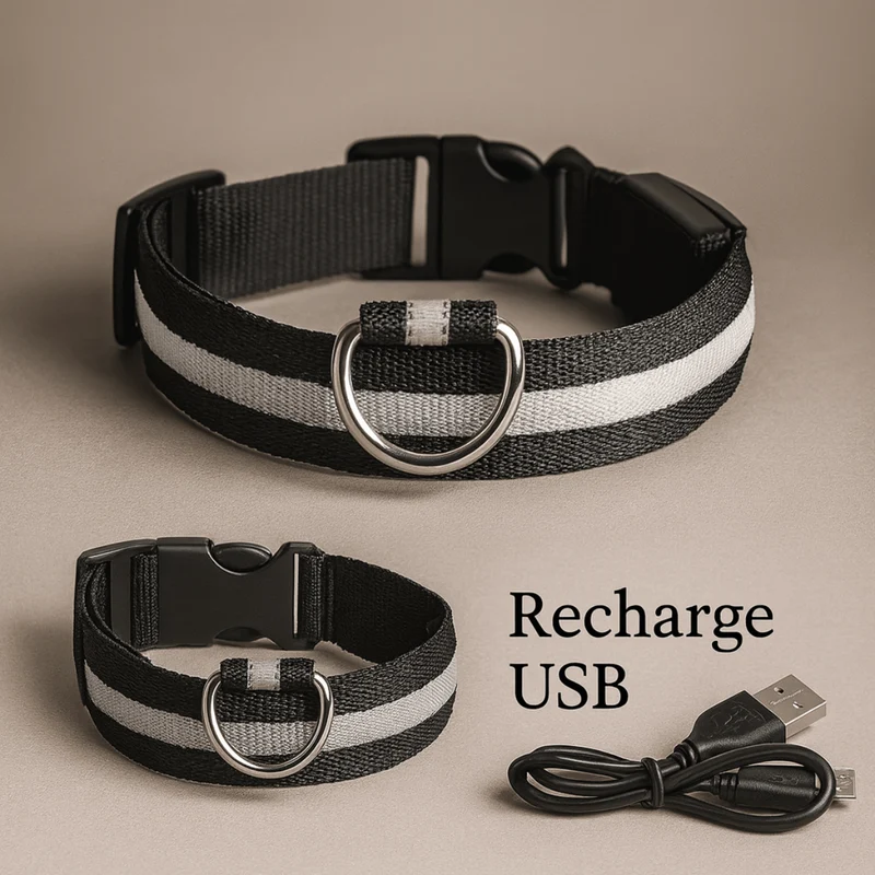 Collier LED Rechargeable USB Gros Chien