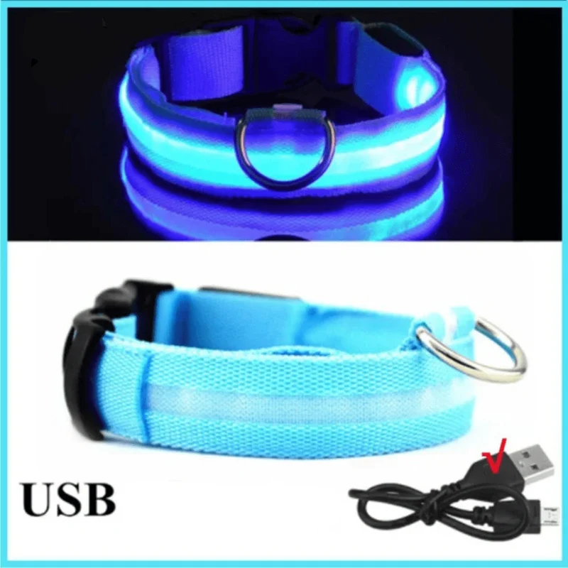 Collier LED Rechargeable USB Gros Chien
