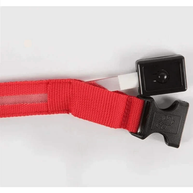 Collier LED Rechargeable USB Gros Chien