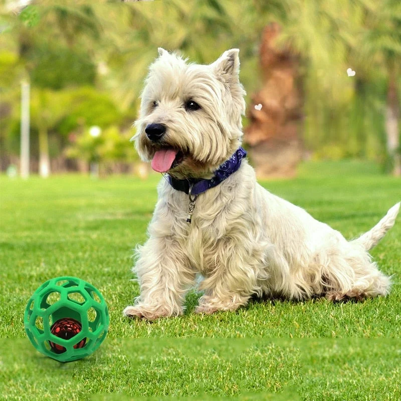 Balle Friandise Interactive Ultra-Résistant Gros Chien