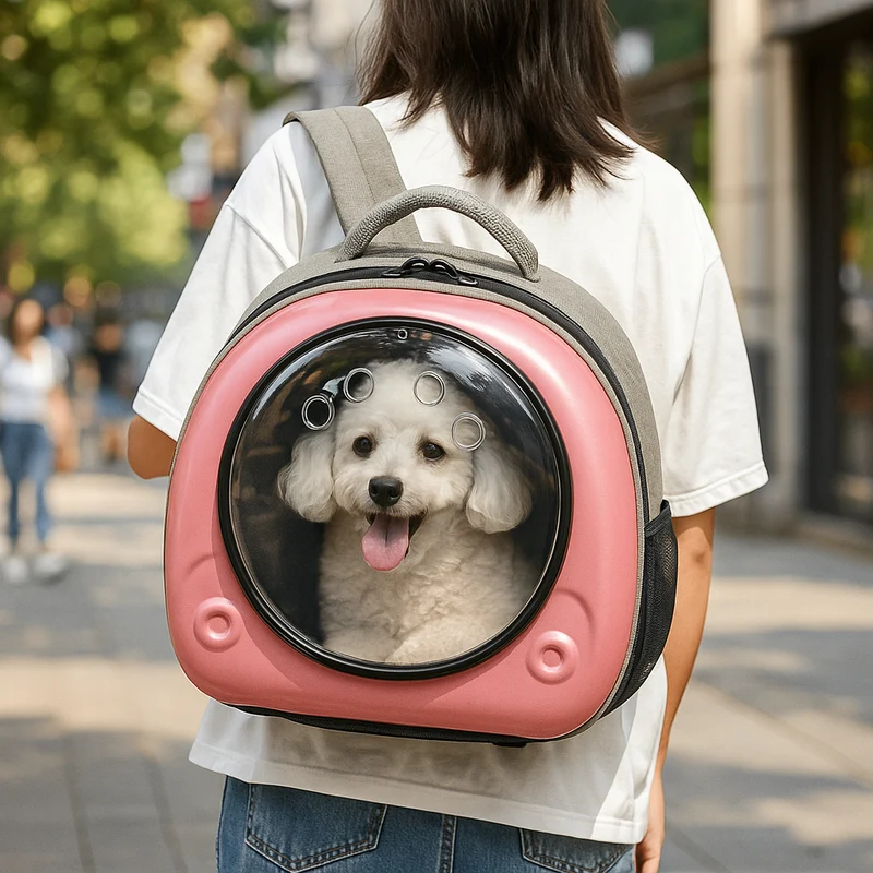 Caisse Transport Chien Rigide Capsule Colorée
