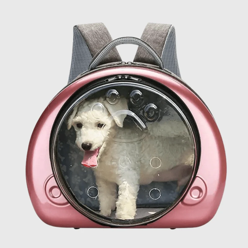 Caisse Transport Chien Rigide Capsule Colorée