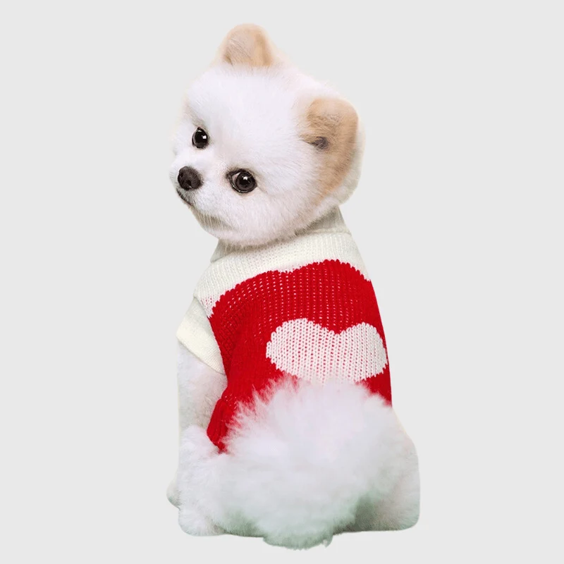 Pull Polaire Hiver Gros Chien Confortable