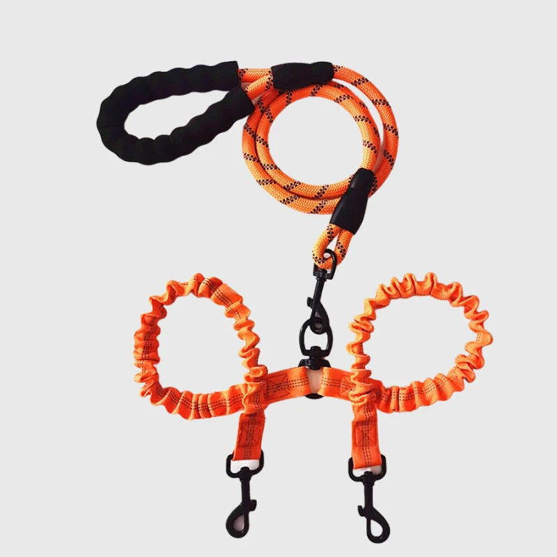 Laisse Double Anti-Enchevêtrement Nylon Gros Chien
