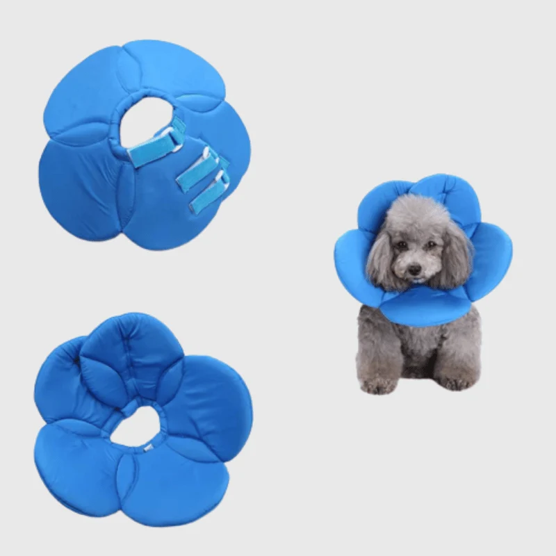 Collerette Décorative Fleur Bleue Gros Chien