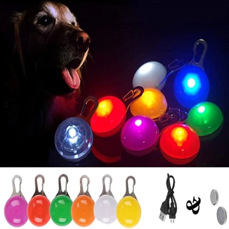 Lampe LED Collier Sécurité Nocturne Chien