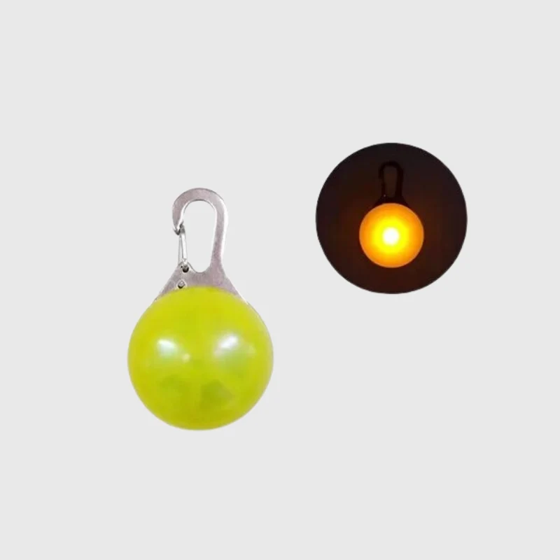 Lampe LED Collier Sécurité Nocturne Chien