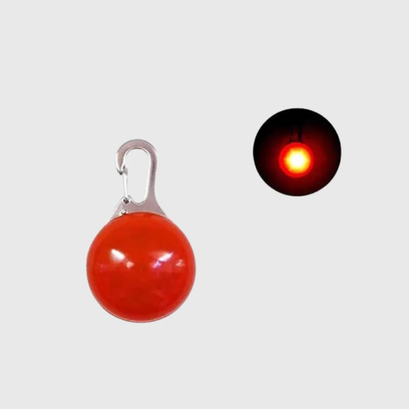 Lampe LED Collier Sécurité Nocturne Chien