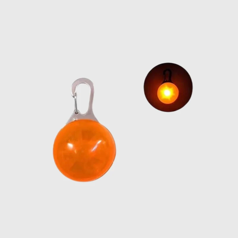 Lampe LED Collier Sécurité Nocturne Chien